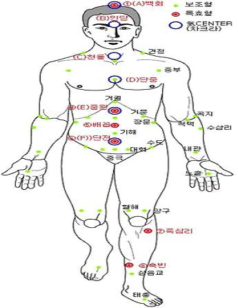 쑥뜸위치-쑥뜸주요 경혈도(앞)